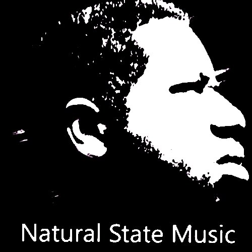 Mainframe9x9's profile picture. Natural State Music Specializes In Hip Hop Production, Track Mixing, Song Arrangement, And Mastering Services.