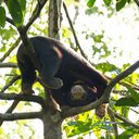 Jocelyn Stokes - @JocelynStokes_ - Twitter