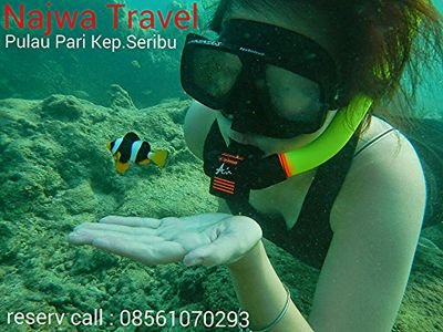 Centra wisata ke Pulau Pari kep.seribu...  CP:08561070293  PIN:  740D9507 (mugi)    (for sure,!  yours happines is our mision....)