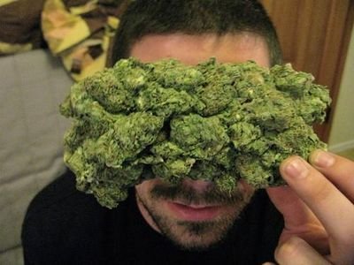 LIVE LIFE HAVE FUN.rolling joints like a cigerette. I Follow Back