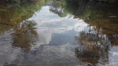 ienvikeeper's profile picture. 