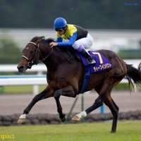 競馬専用K.H (@mgwpdjwp) 's Twitter Profile