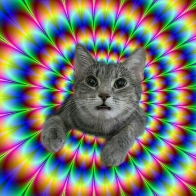 fpj2pvj's profile picture. 