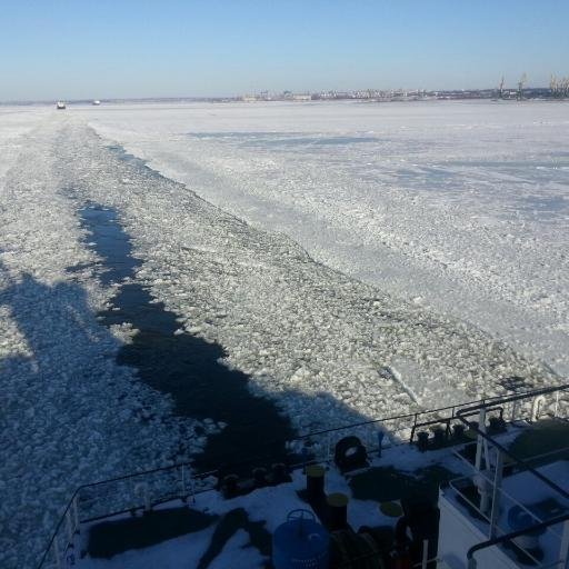 waseemhessni's profile picture. shipping agent