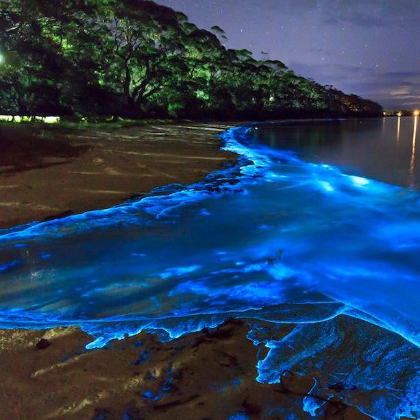 JessicaJackso40's profile picture. 