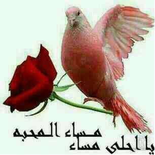 اللهم فرج همومنا وهموم جميع المسلمين اللهم اصلح فساد قلوبنا نحن من وطن عمروا الارض اينما حلو علي ارصفة الصمت. تموووووت اكثر الاشيااااء التي طالما تمنينا