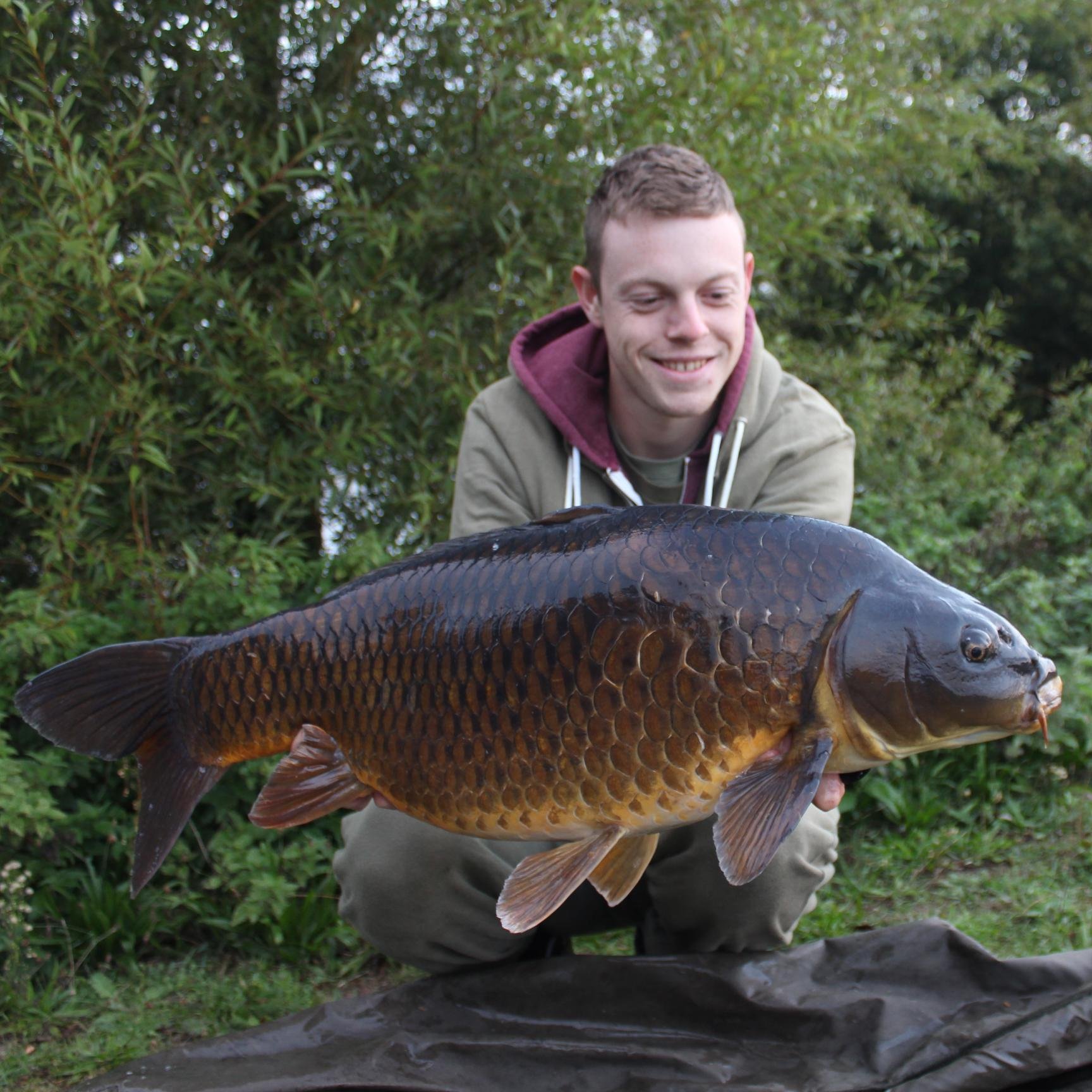 FrancisBayliss's profile picture. 