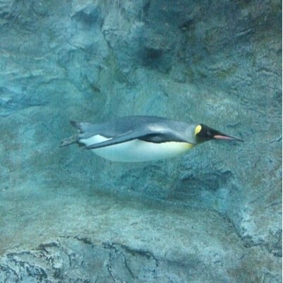 腰を治す為ストレッチの日々 強く、しなやかに！目標は走れるようになる事（小走り達成）本をたくさん読む　新しい事始める