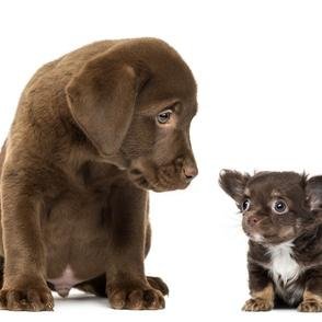 NorfolkChocolat's profile picture. Chocolatier, cake maker, love all things handmade.