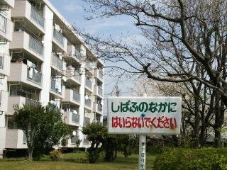 nijinijiji's profile picture. アルコールとアドレスv125と猫さえいればそれでいい。
いや、やっぱART-SCHOOLが解散したら人生は終わるわな。