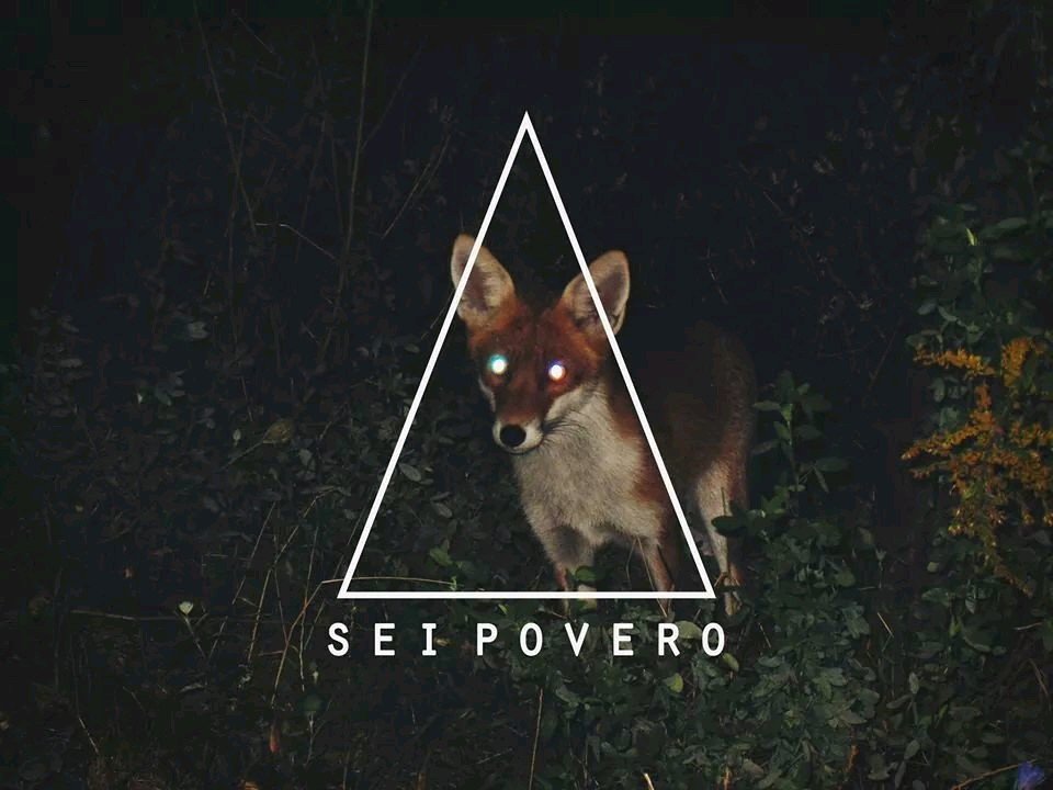 Luci222's profile picture. We all live in a yellow San Marino