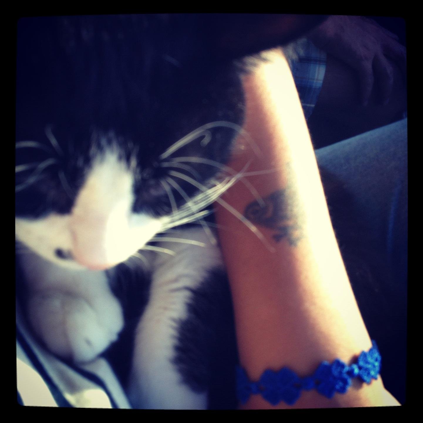 linda_bourne's profile picture. 