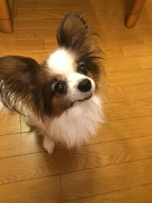 今はただの社会人+.(≧∀≦)ﾟ+.ﾟ