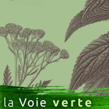 LaVoieverte's profile picture. collectifs d'intervenants pour des actions de pédagogie environnementale: découverte des plantes sauvages et de leurs usages, vannerie, lecture de paysage, etc.