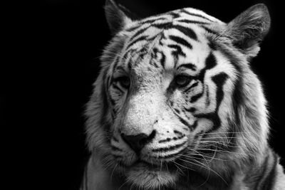 كبرياء رجل حزين Ababasas88 Twitter
