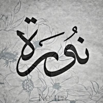 Noura_dossary1 Profile Picture