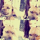 Hayley Gallagher - @Hayleyanne221 - Twitter