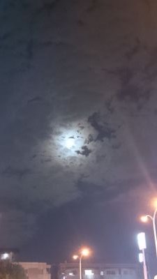 0117_am's profile picture. ROMアカ