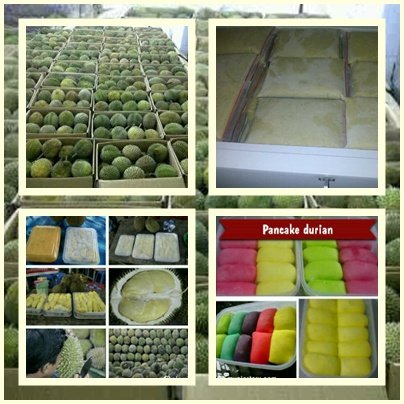 I'm durian business Call:082368542077 Pin.2823B382 - 27C69530
