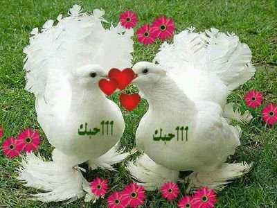 صحيح كلنا بشر بس احنا السمر غير