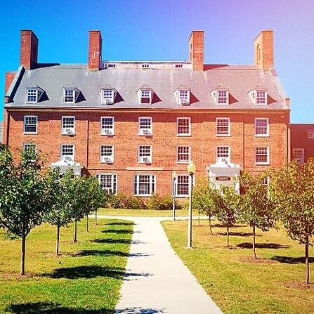 University of College for Academic Success