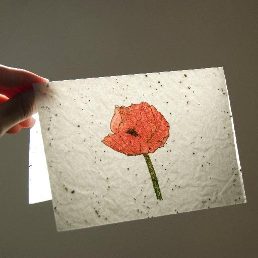 I love everything made out of paper, and sell handmade paper goods in my shop: http://t.co/sKBQSAOL. Interests: graphic design, art, typography, drawing