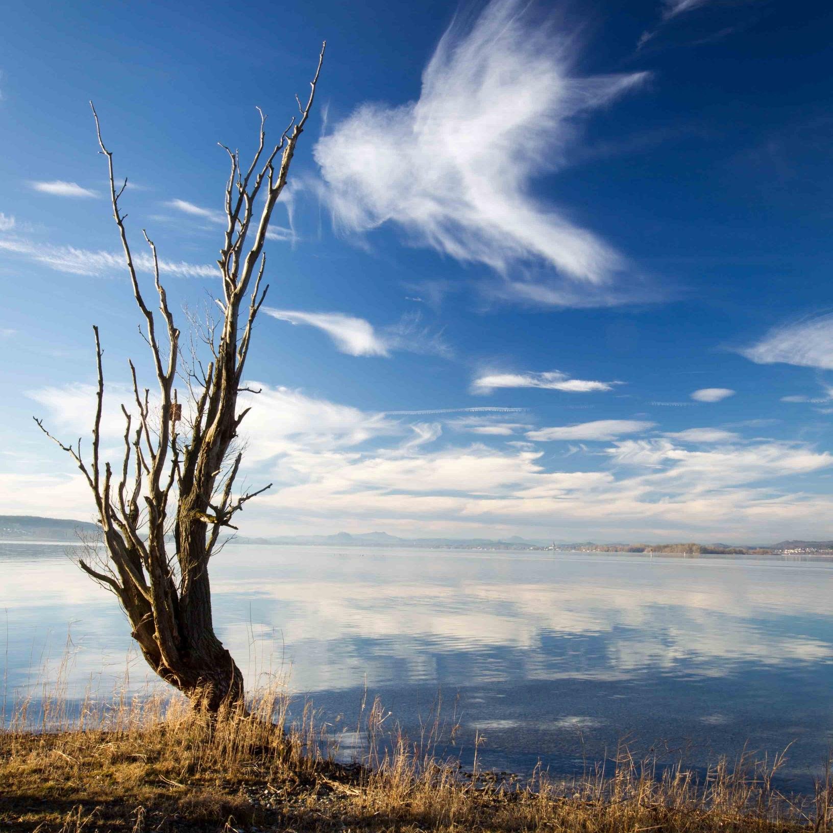 Premium-Fotografie mit Bildern der Insel Reichenau im Bodensee