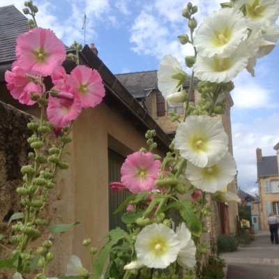 romtit40's profile picture. prof de lettres, TICE, iPad ...