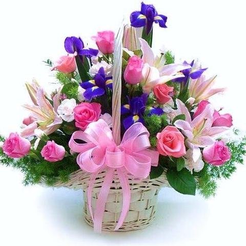 +919540749283 We have many varieties of Gifts and Flowers that you can send to your relatives and friends. You can also send soft toys, cakes, chocolates