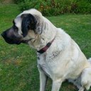 Mary Hacking - @HackingMary - Twitter