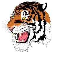 NPTAthletics Profile Picture