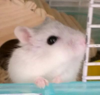みでぃめいさんのプロフィール画像