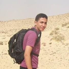 science cairo univ / geochemist / ahlawy