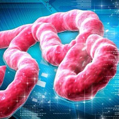 ebola_el's profile picture. Cuenta oficial del virus del éboa