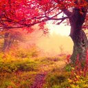 Keri Riley - @keri_riley1971 - Twitter