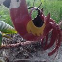 elvis polanco - @elvispolanco11 - Twitter