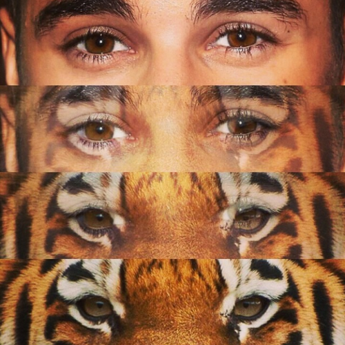 Mel__beliber's profile picture. 