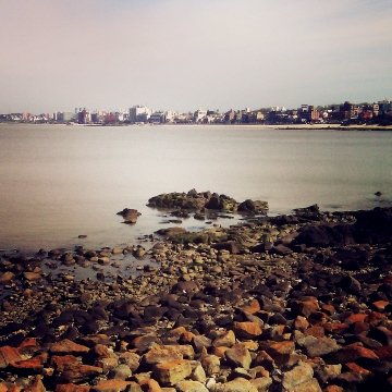 NewRealtyTweets's profile picture. Real Estate Tweets 4 Investors. uruguayinvestmentsgroup@gmail.com