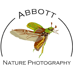 AbbottNature