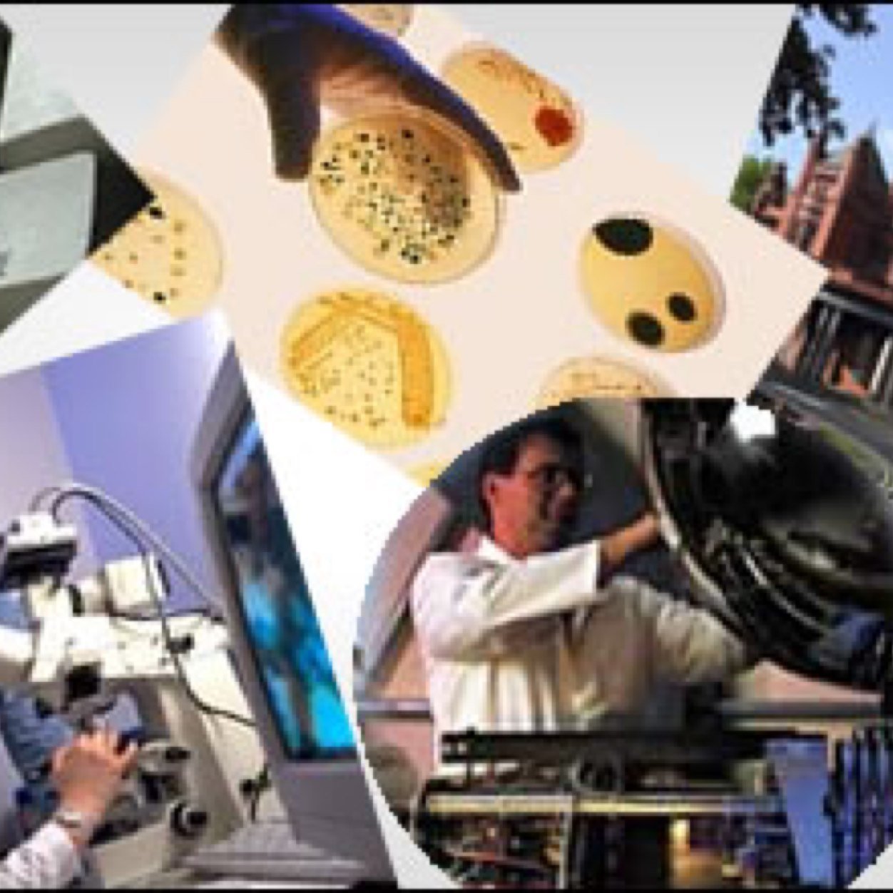 The official Twitter account for the Universities Biosciences Managers Association.