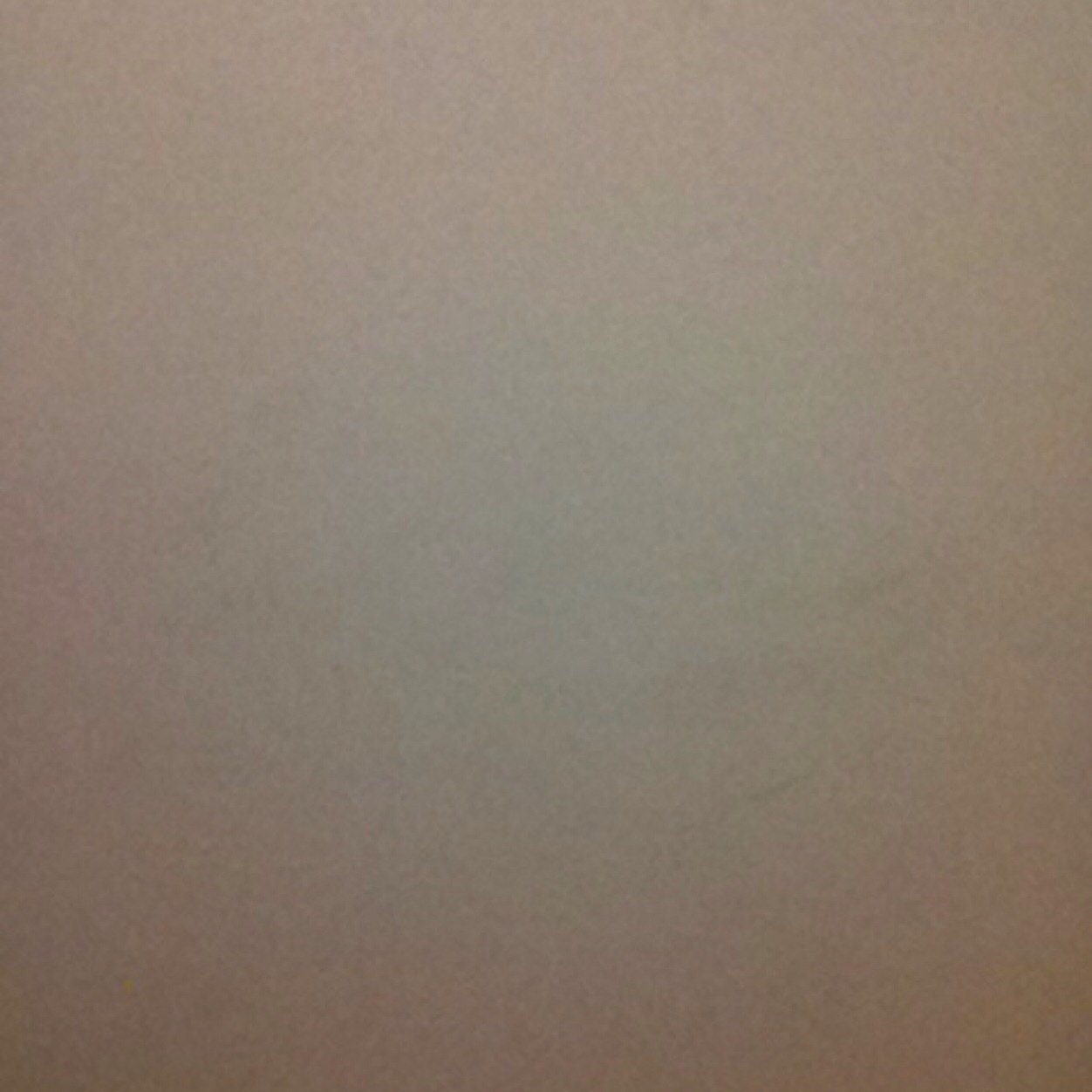 clartania's profile picture. Revinent