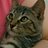 Raquel1621's profile image