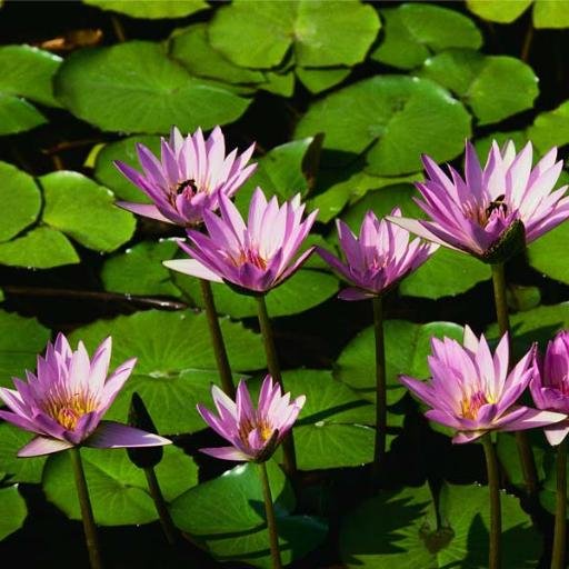 Ma_IsabelT's profile picture. 