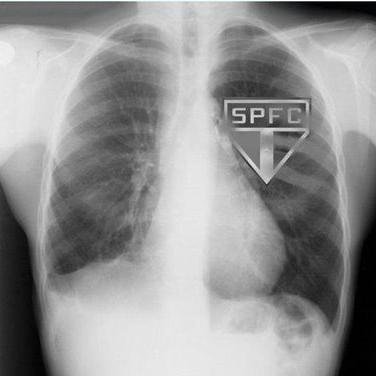 jotajorge's profile picture. A minha alucinação é suportar o dia-a-dia...Vai na fé e não na sorte!  #TeamSil