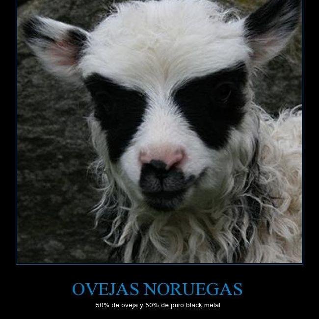 Drk669's profile picture. \m/ (-_-) \m/