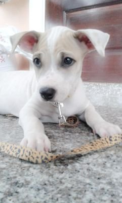 daosukanda's profile picture. スタースター
เพ้อไปเรื่อยแล้วแต่อารมณ์!!
แค่คลั่งไคล้วงSingular ม๊ากกก:)