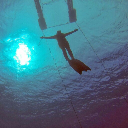 Freediver, Sharepoint und SQL Server Liebhaber, Strafzettelsammler