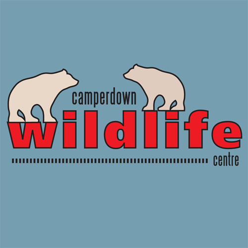 Camperdown Wildlife Centre is home to over 50 species of birds, reptiles & animals. Highlights include brown bears, lemurs & meerkats. Visitor Centre & Cafe.