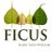 Ficus