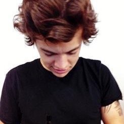 golden vibes for harry